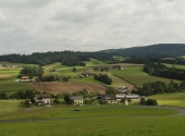p1290416