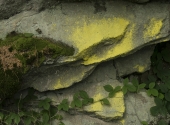 p1290441