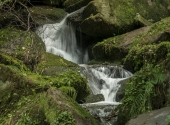 p1290469